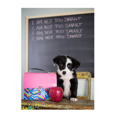 Note Cards- Back to School