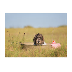 Note Cards- Bathtime