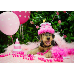 Birthday - Airedale Terrier