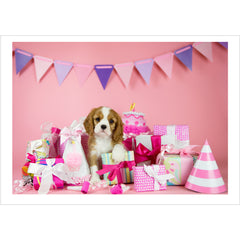 Birthday - Cavalier King Charles Spaniel