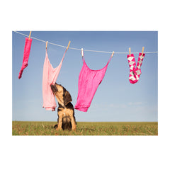 Note Cards- Laundry Day