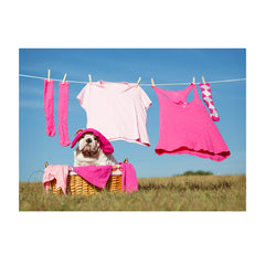 Note Cards- Doing Chores