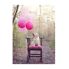 Note Cards- Bunch of Balloons