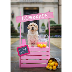 Cheer Up - Yellow Labrador