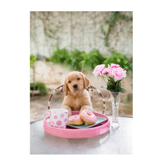 Note Cards- Donuts for Breakfast