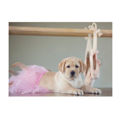 Note Cards- En Pointe