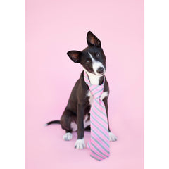 Father's Day- Canaan