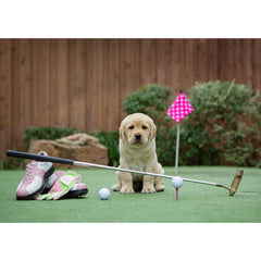 Father's Day- Labrador