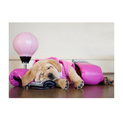 Note Cards- Fight like a Girl