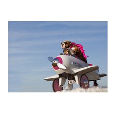 Note Cards- Taking Flight