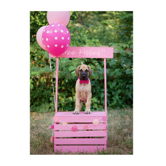 Note Cards- Free Kisses