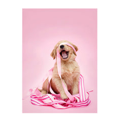 Note Cards- Golden Retriever