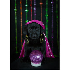 Good Luck - Black Labrador