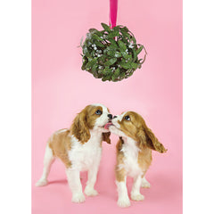 Holiday- Mistletoe Cavaliers