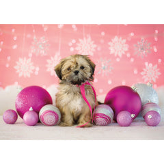 Holiday- Shih Tzu Mix