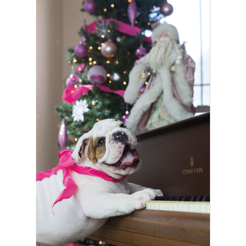 Holiday- Singing Bulldog