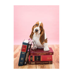 Note Cards- Legal Authority