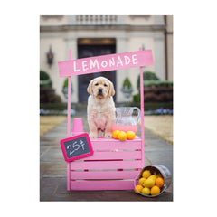 Note Cards- Lemonade Stand