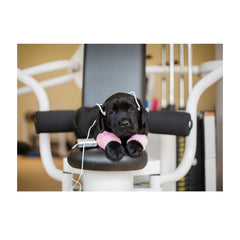 Note Cards- Let's Get Physical