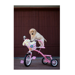 Note Cards- On Three Wheels