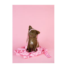 Note Cards- Pomeranian Mix