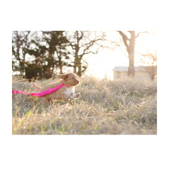 Note Cards- Run Like the Wind