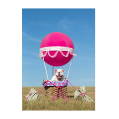 Note Cards- Up Up and Away