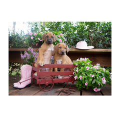 Note Cards- Wagon Ride