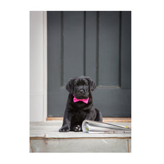 Note Cards- Wall Street