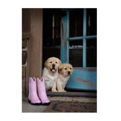 Note Cards- Welcome Committee