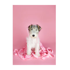 Note Cards- Wire Fox Terrier