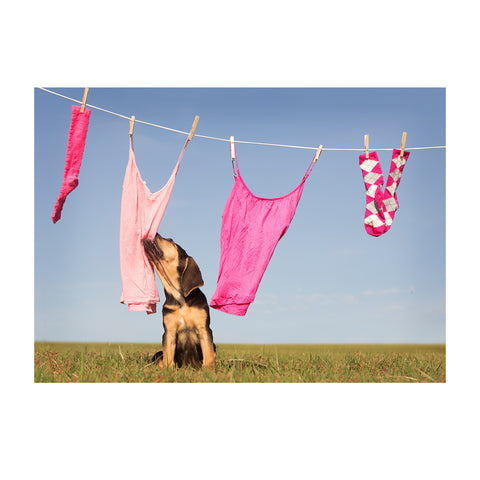 Note Cards- Laundry Day
