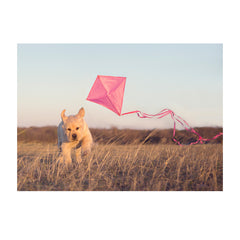 Note Cards- Go Fly a Kite