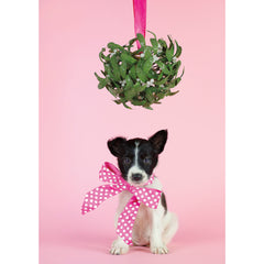 Holiday- Mistletoe Puppy