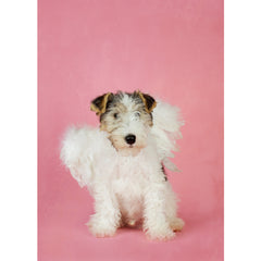 Holiday- Angel Wire Fox Terrier