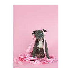 Note Cards- Staffordshire Bull Terrier
