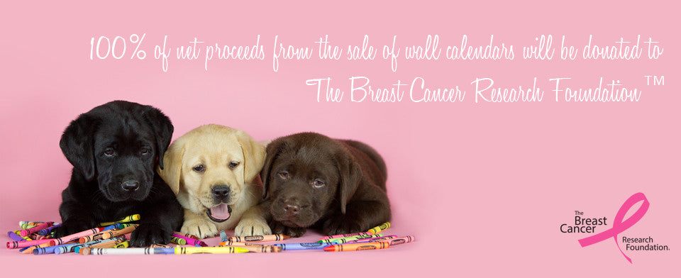Pink Ribbon Dogs Pink Ribbon Puppies, Inc. | Pink Ribbon Puppies
